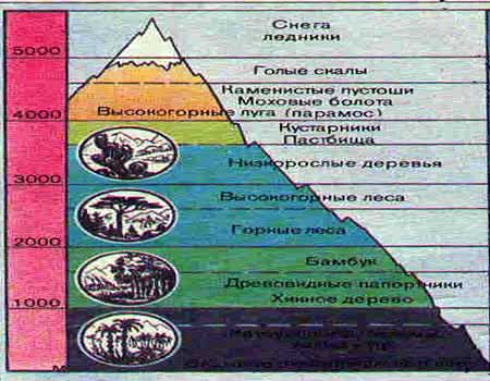 kt_dz_id017_f1.jpg