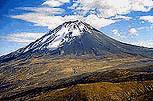 kt_dz_id048_nouth.jpg