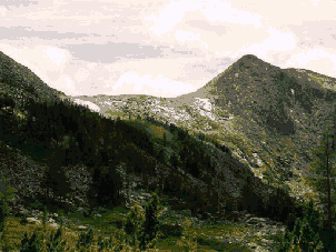 kt_dz_id056_f1.gif