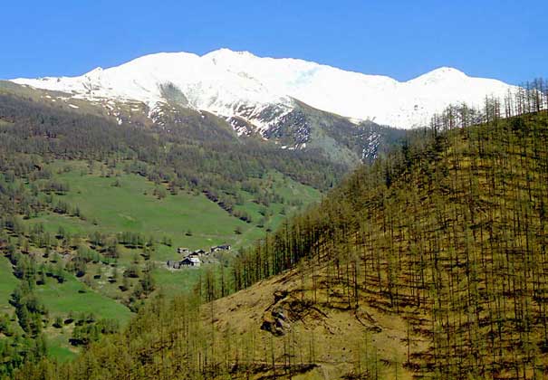 kt_dz_id057_north.jpg
