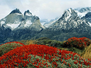 kt_dz_id064_south.jpg