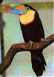 kt_dz_id100_f5.jpg