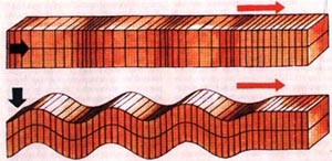 ris